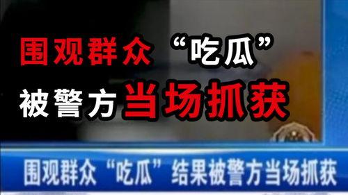 今日吃瓜爆料广州新闻,今日吃瓜爆料，揭秘城市热点事件  第3张